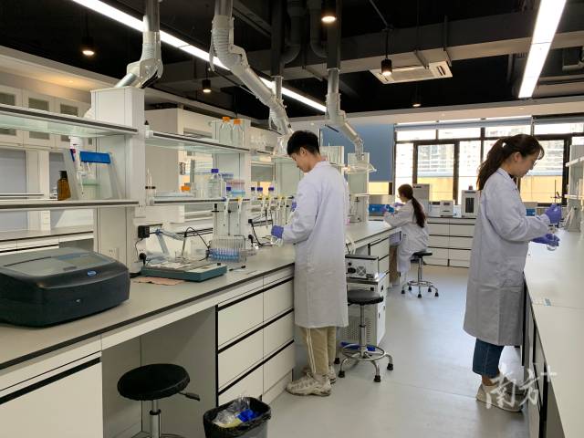 星空体育·(China)官方网站“攀峰班”学生在开展实验探究。